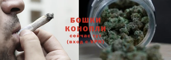 амф Гусиноозёрск