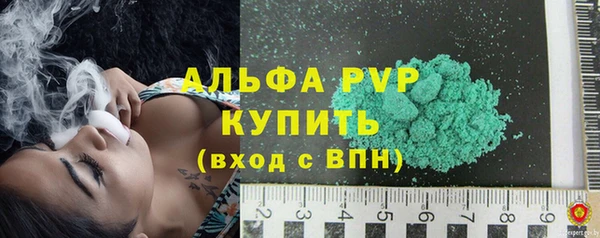 ПСИЛОЦИБИНОВЫЕ ГРИБЫ Заволжье