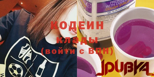 прущий лед Дмитриев