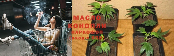 соль ск Дмитров